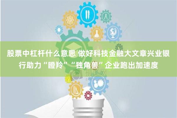 股票中杠杆什么意思 做好科技金融大文章兴业银行助力“瞪羚”“独角兽”企业跑出加速度