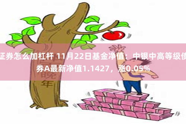 证券怎么加杠杆 11月22日基金净值：中银中高等级债券A最新净值1.1427，涨0.05%