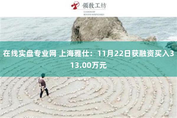 在线实盘专业网 上海雅仕：11月22日获融资买入313.00万元