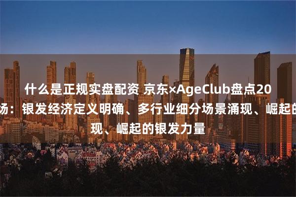 什么是正规实盘配资 京东×AgeClub盘点2024银发市场：银发经济定义明确、多行业细分场景涌现、崛起的银发力量