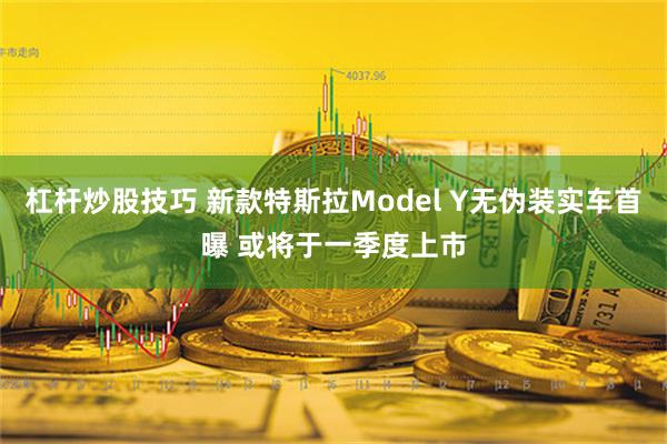 杠杆炒股技巧 新款特斯拉Model Y无伪装实车首曝 或将于一季度上市